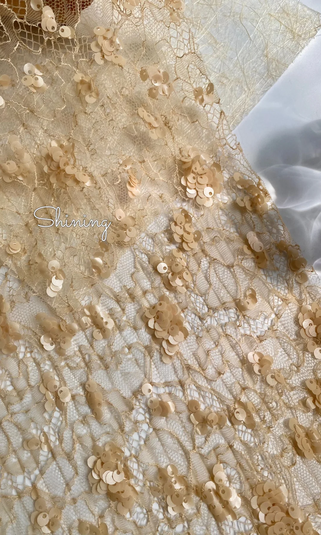 香槟色压皱蕾丝珠片绣花、太美了！