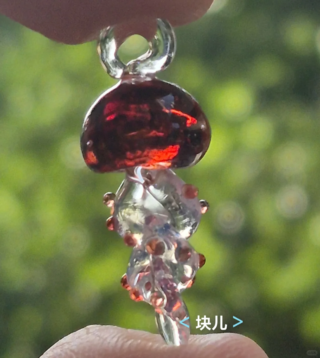 最近在直播间买的一些水母测评