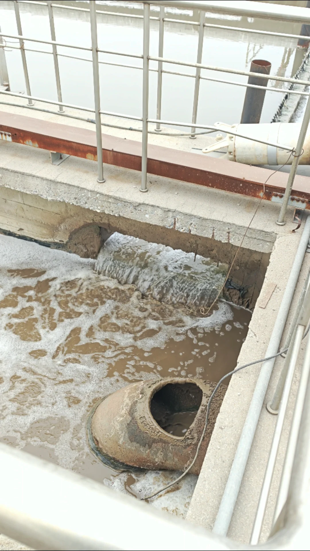 来啦上班~最近在锦州