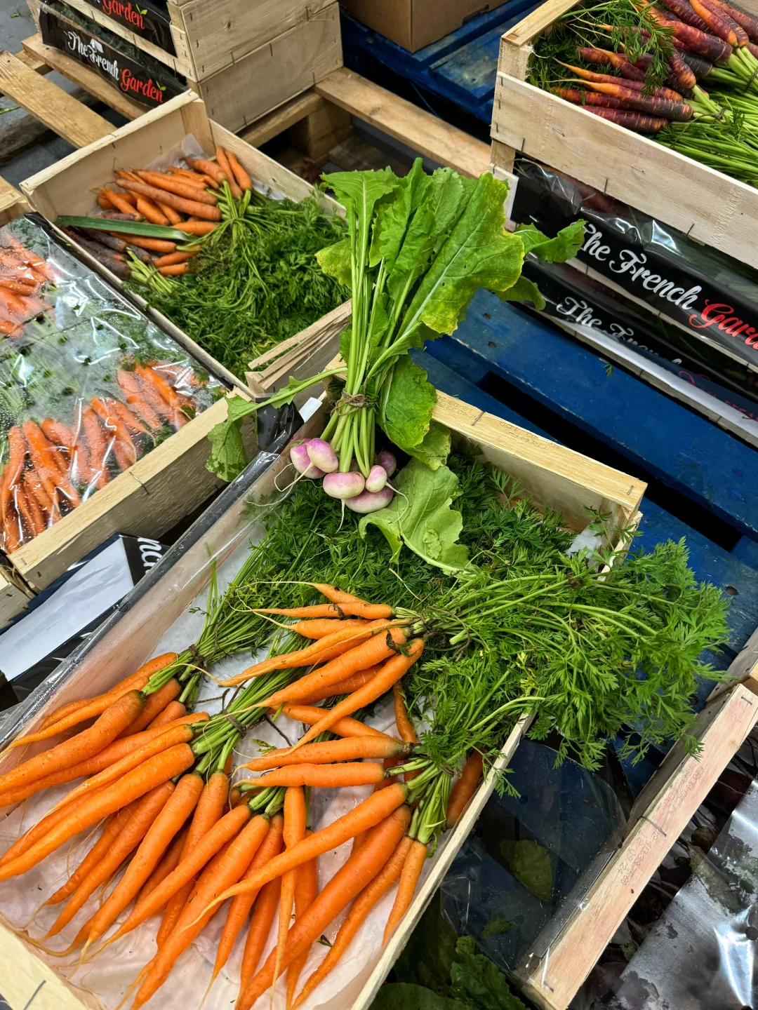 ??｜是谁凌晨三点在逛水果市场