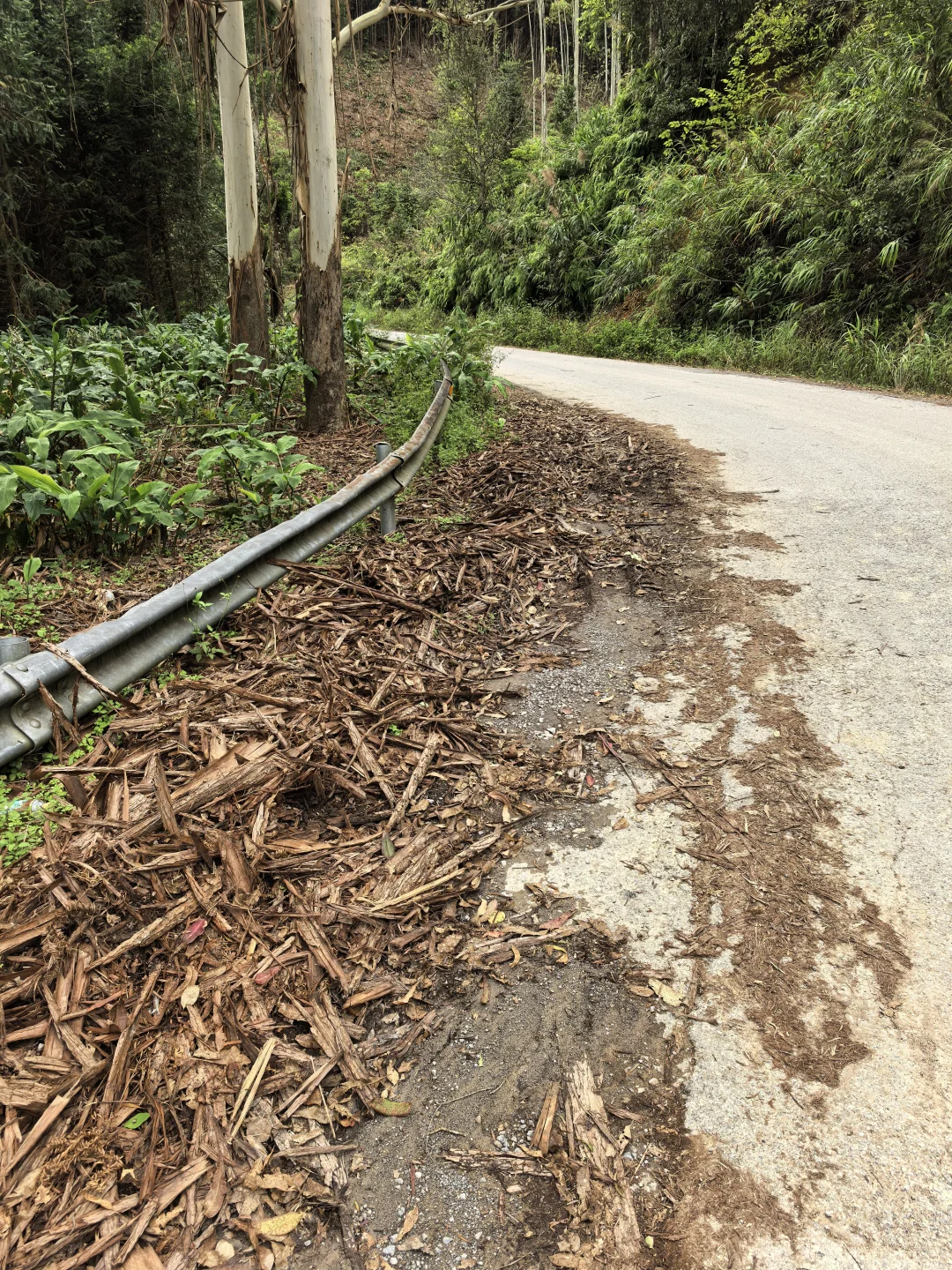 突然发现树皮才是最好的改土材料