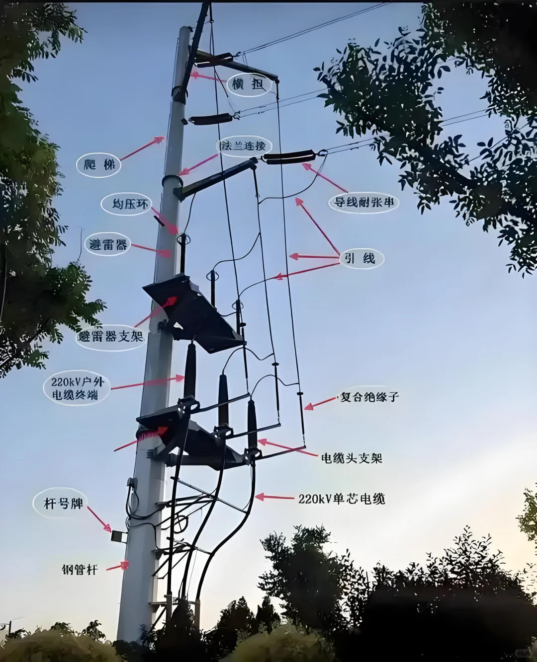 电线杆上的“电力天团”⚡一文读懂杆上高压