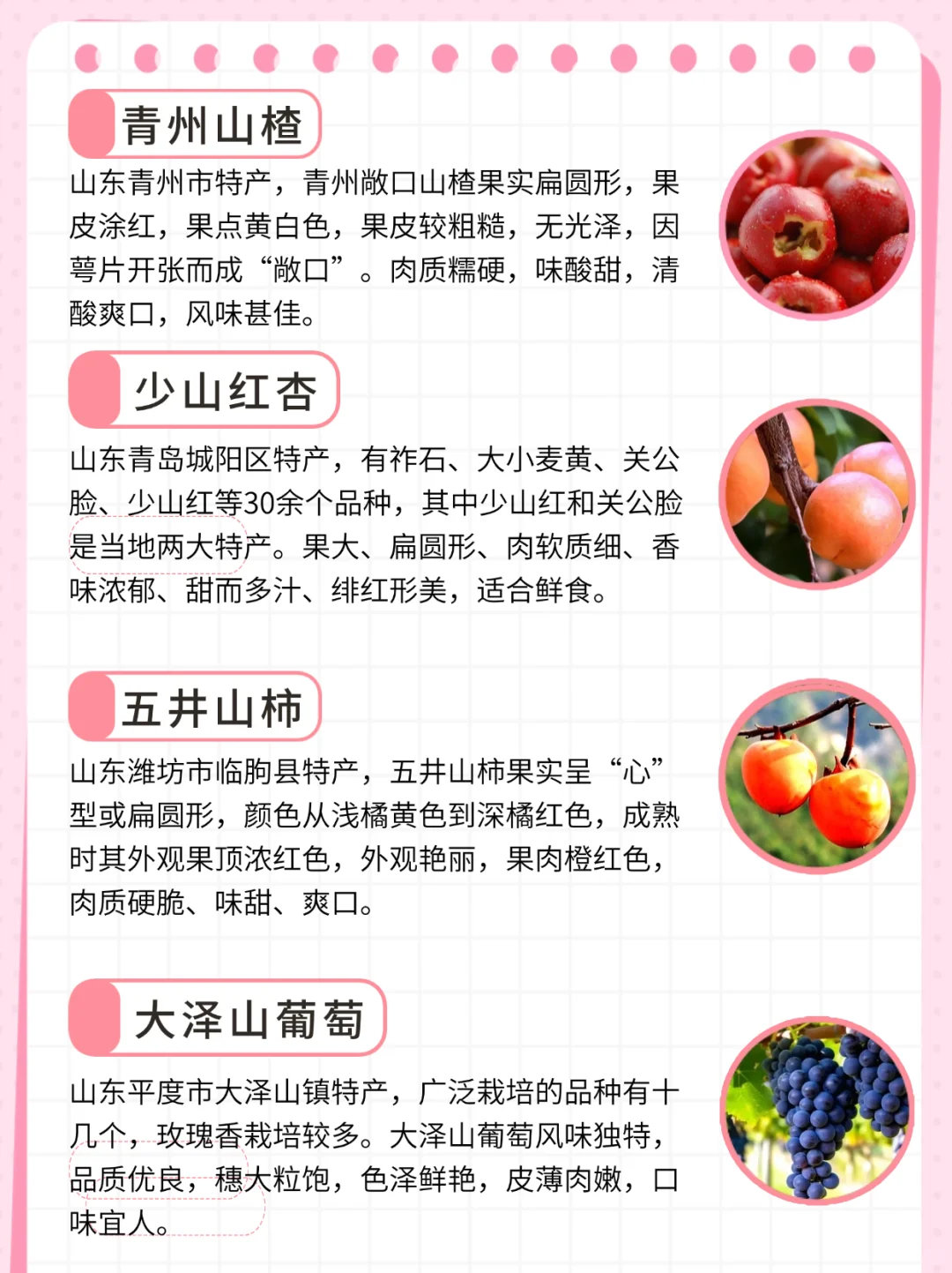 这些好吃的地理标志水果你都吃过吗|山东篇