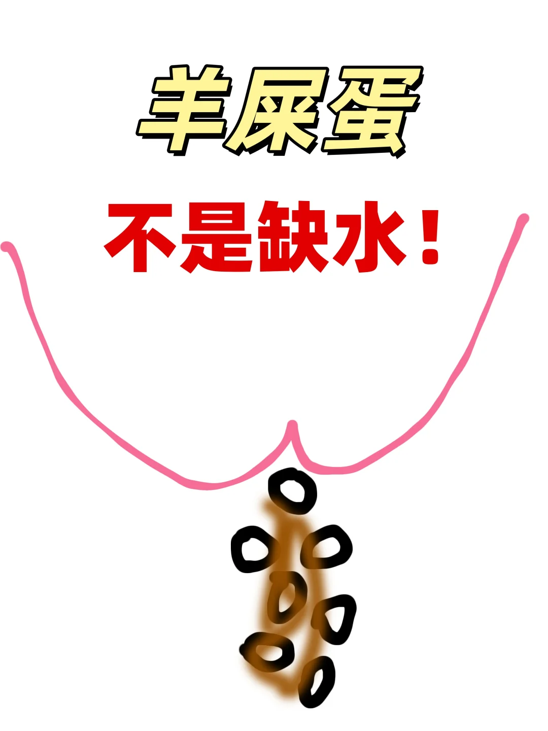 终于和羊屎蛋和解了。。。