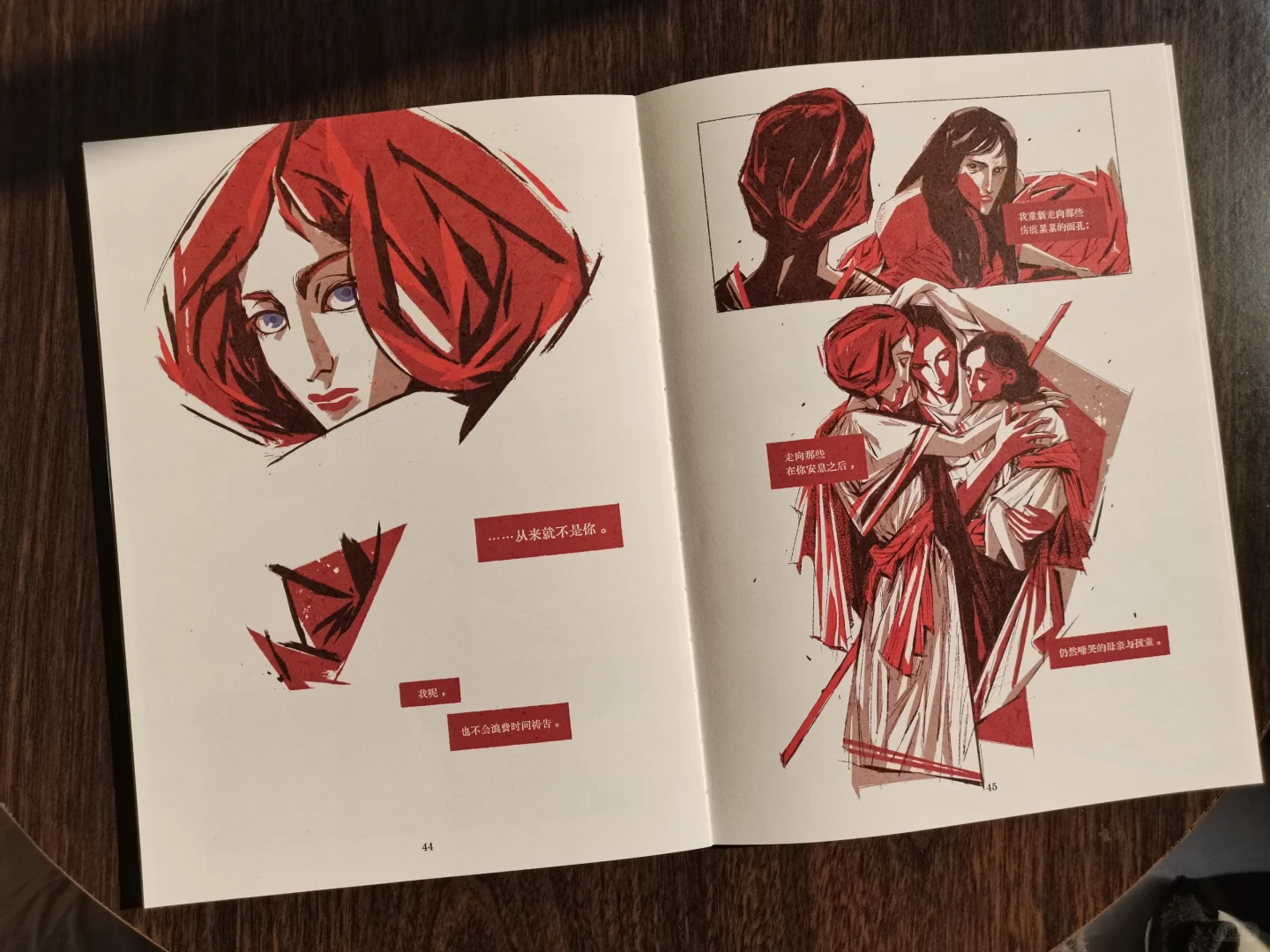 去年的画册和制品