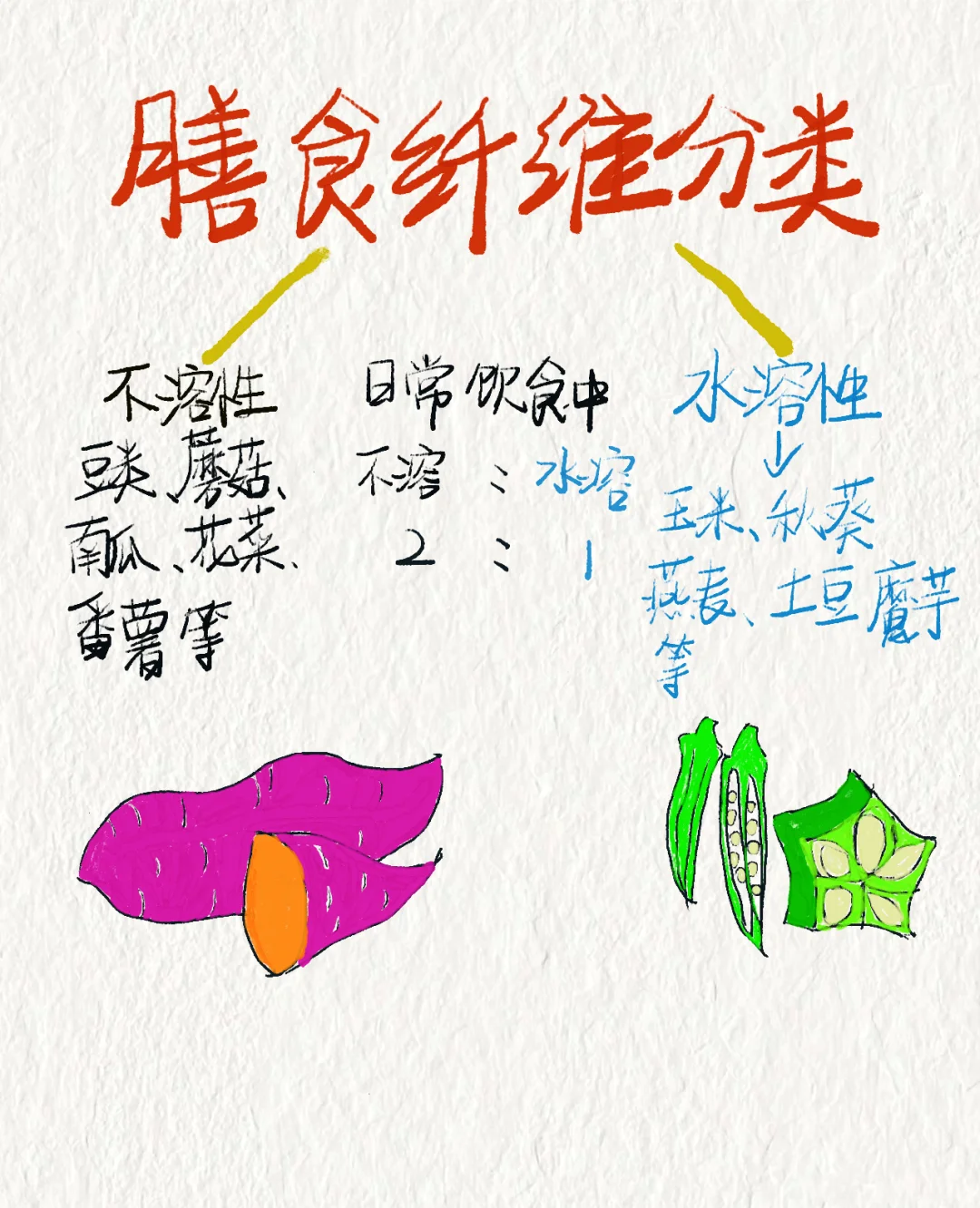 食物中的营养素之膳食纤维