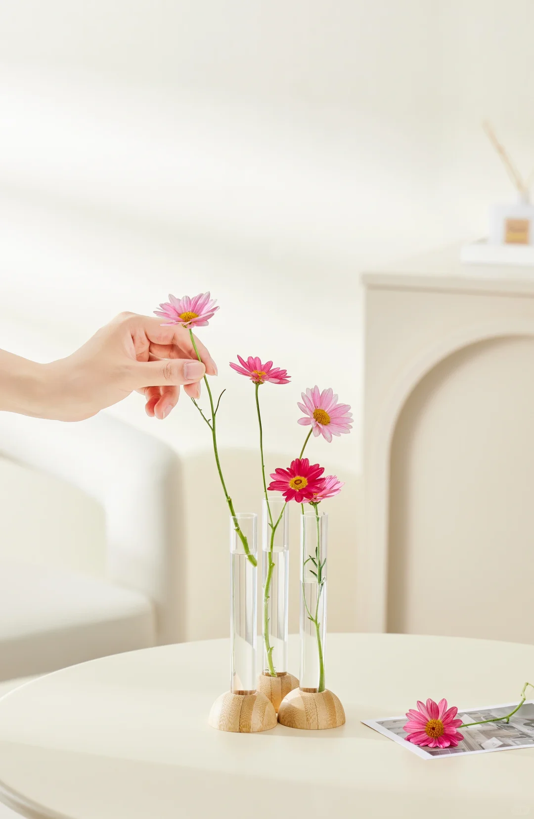 手痒难耐渴望拍照｜第一弹水培花瓶