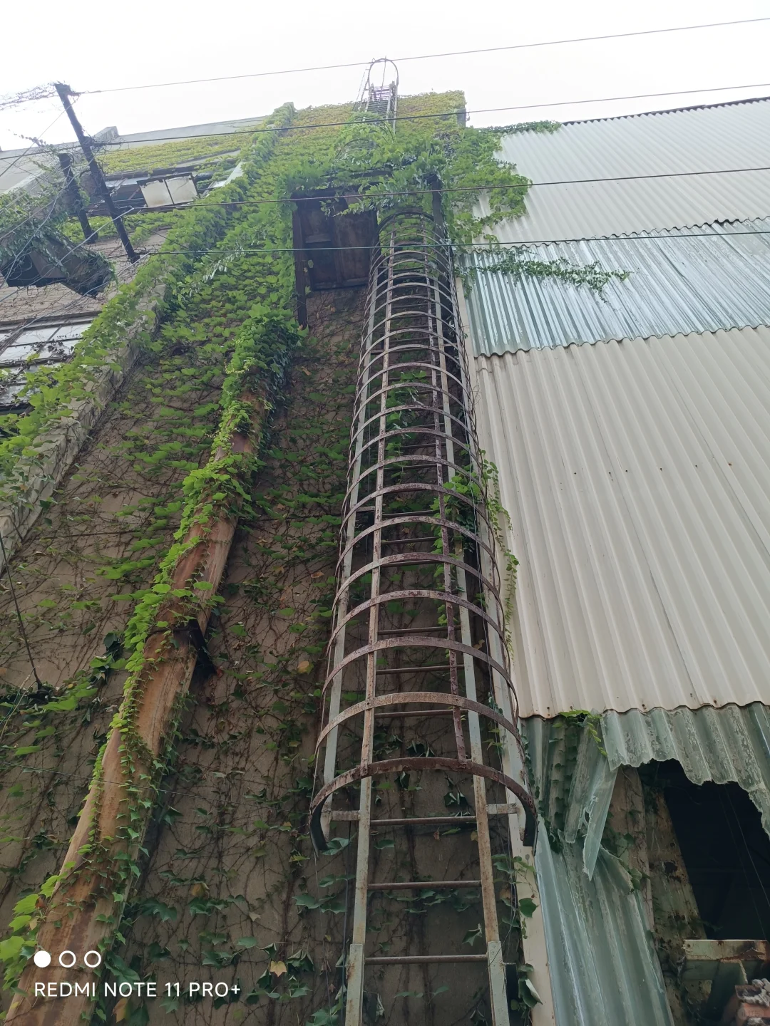 探访被世人遗忘的川冶机械厂旧址建筑群遗存