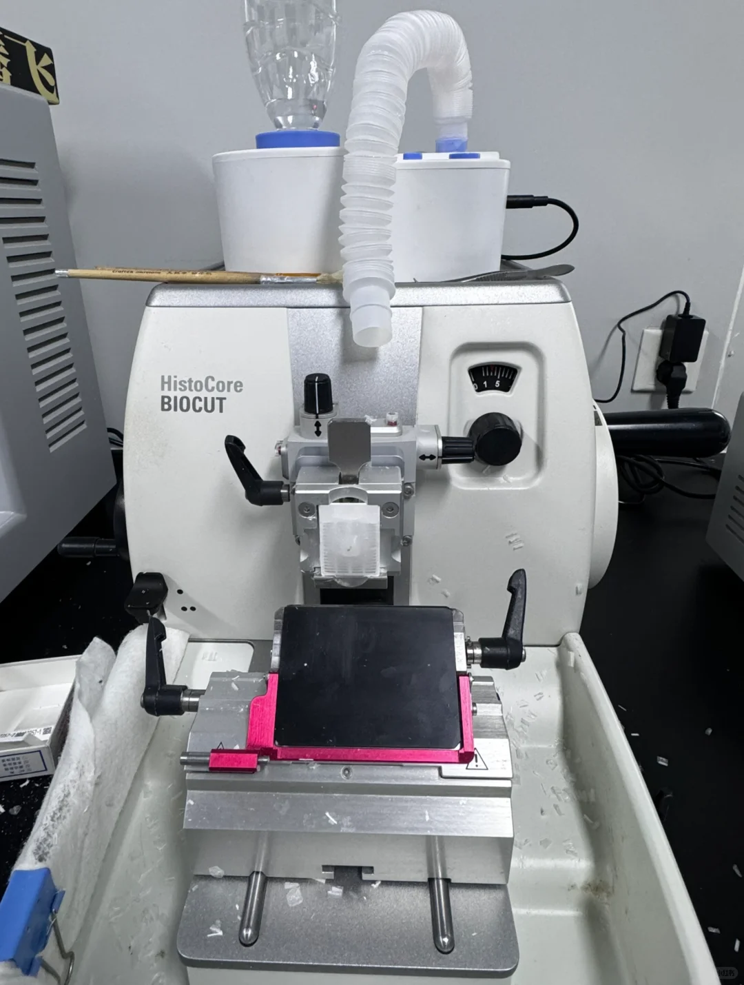 疑似二甲苯中毒