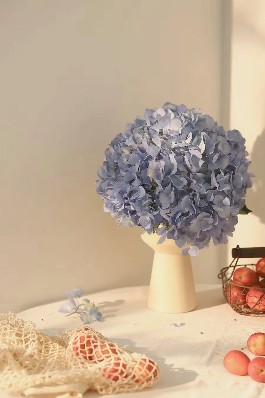 静物摄影|阳光下的静物（附布景）