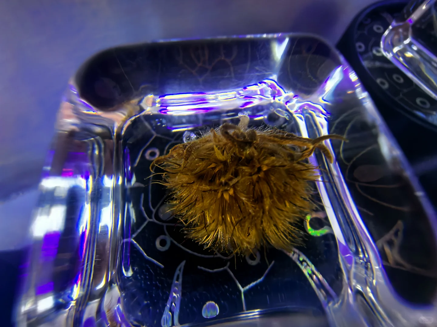 CMF树脂工艺01篇：从液态到固态的工艺魔法