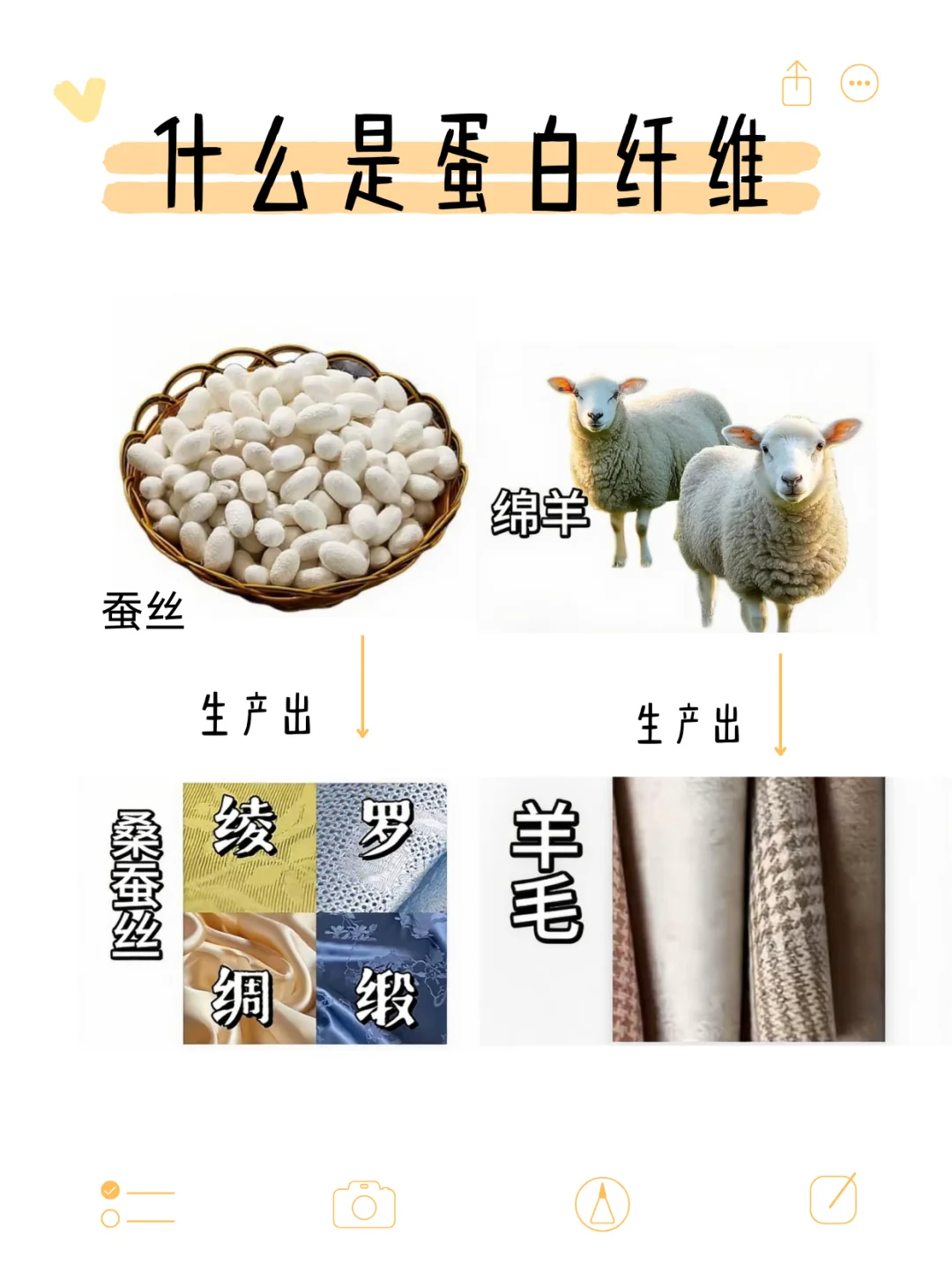 最直白的图文解析聚酯纤维！