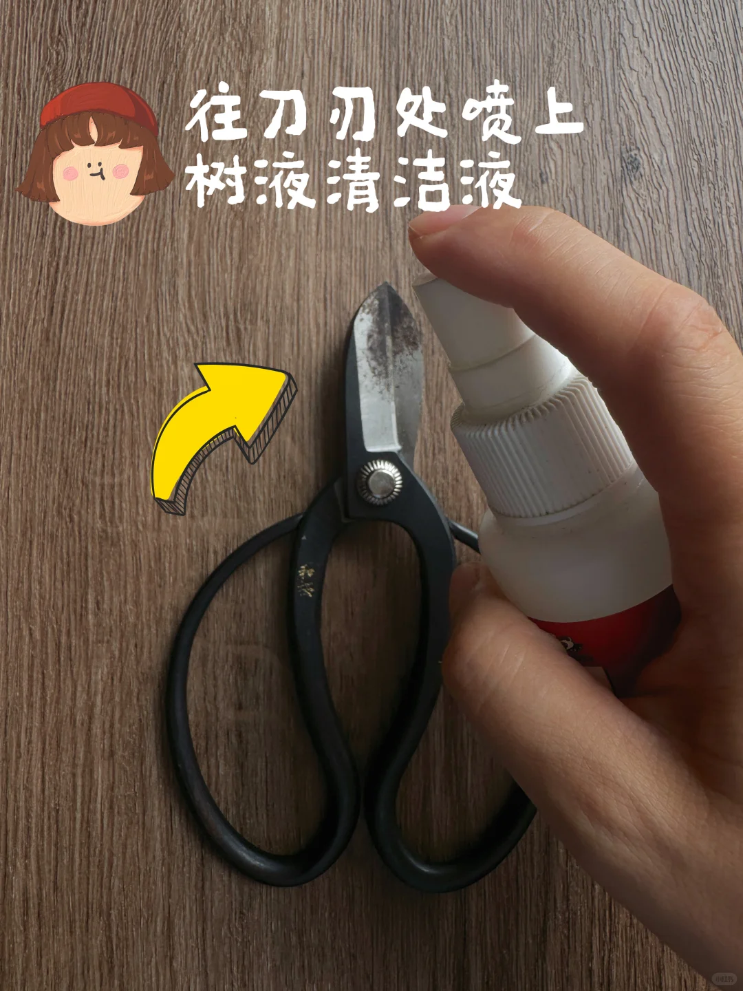 插花必备!拯救你的黑剪刀!