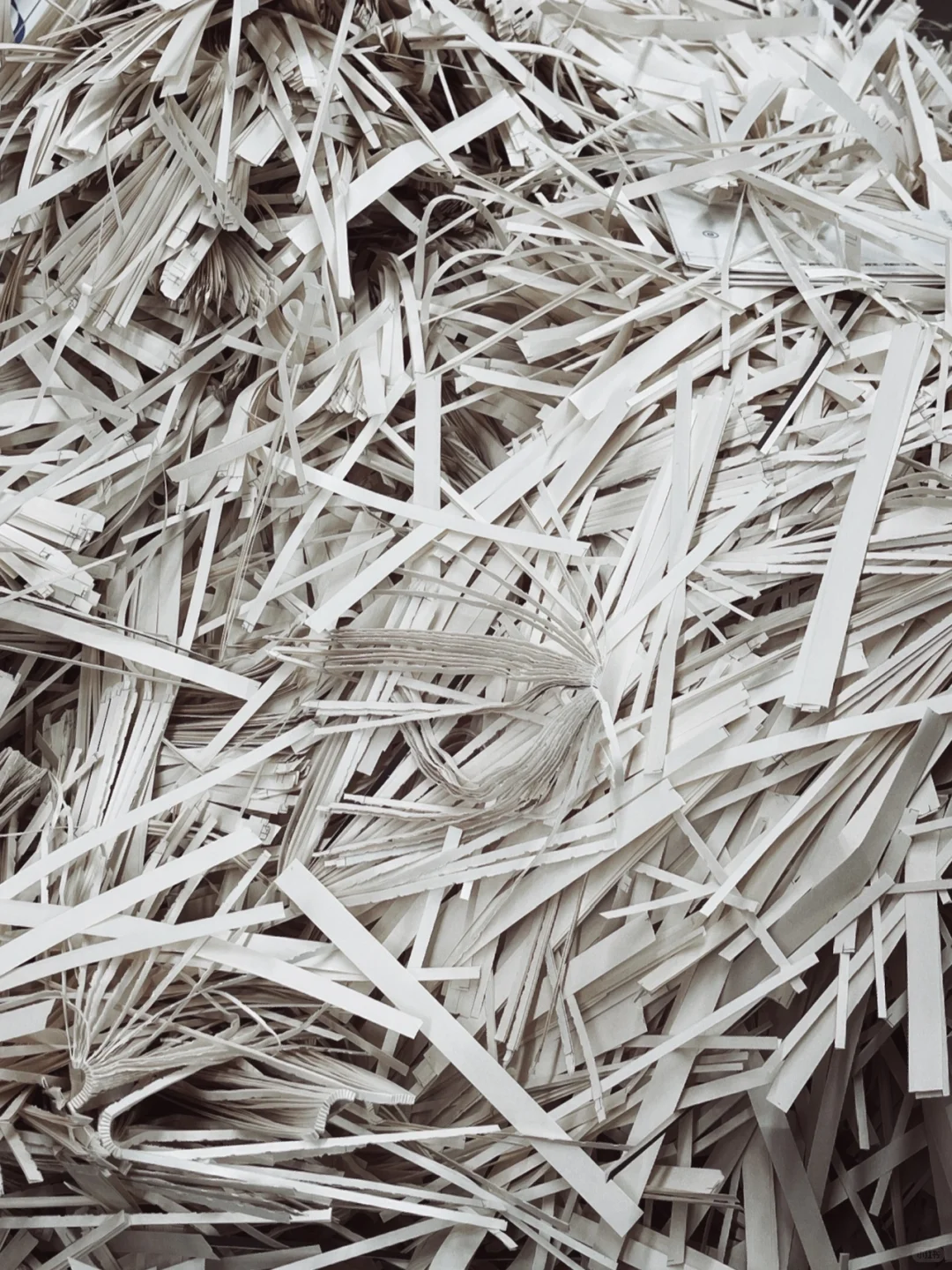 印刷工艺一览，看纸质书的诞生?