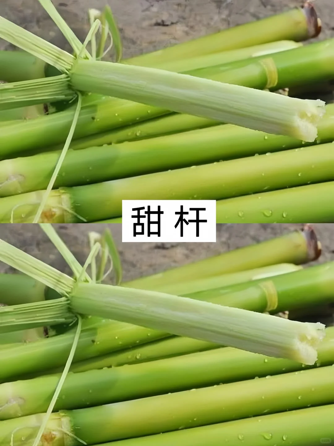 农村常见的十种水果，你不可能全部认识