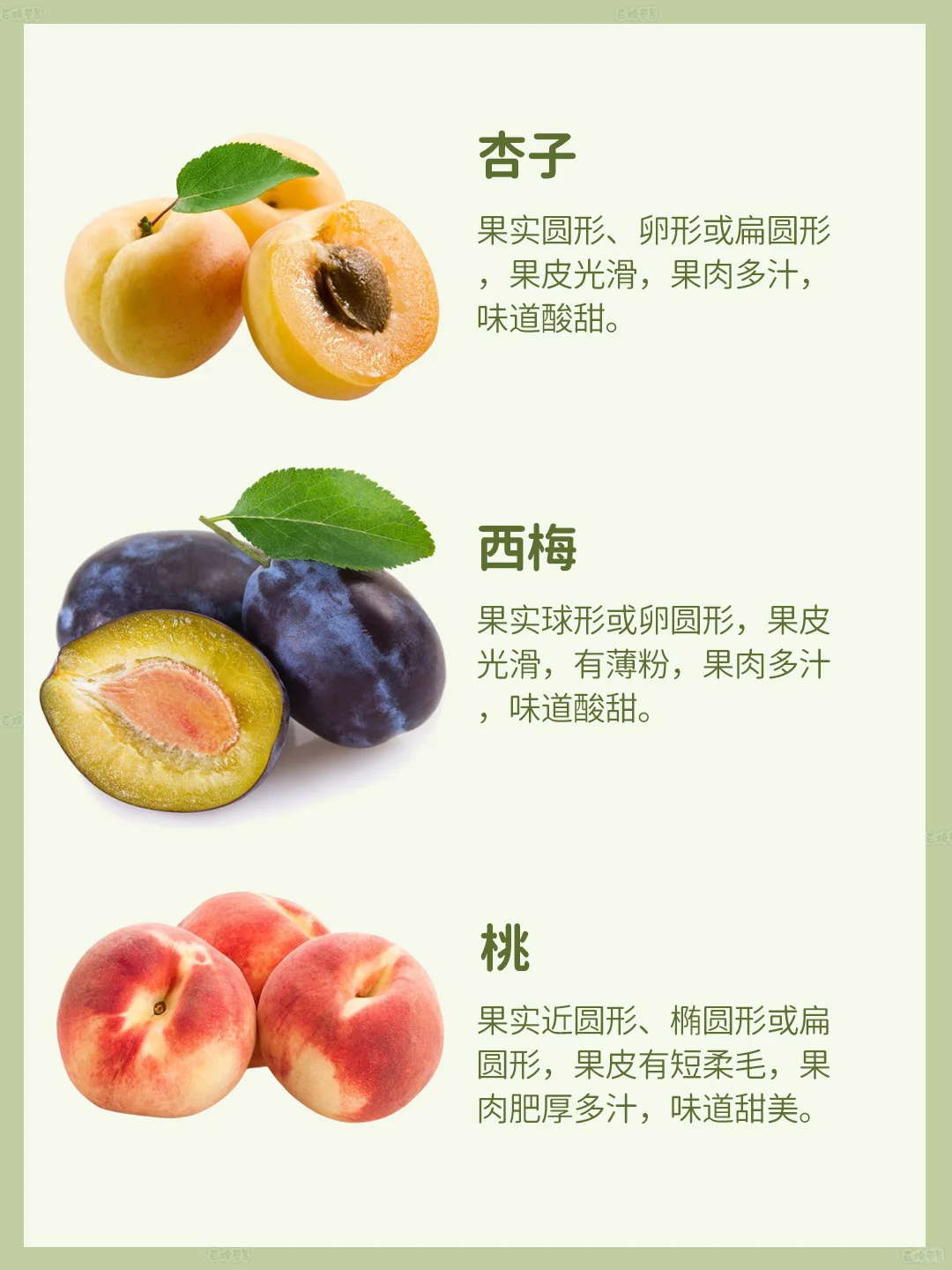 核果家族大揭秘！这些宝藏水果你都尝过吗？