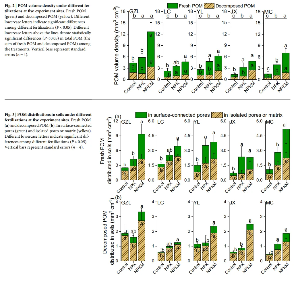 土壤孔隙如何扮演碳“加速器”与“稳定器”