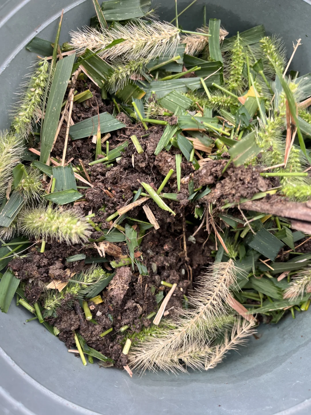 泥土板结了别担心！超简单妙招