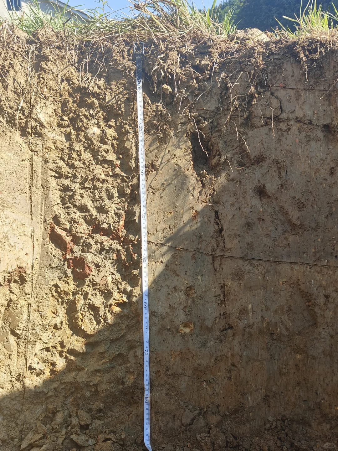 土壤学实习结束啦