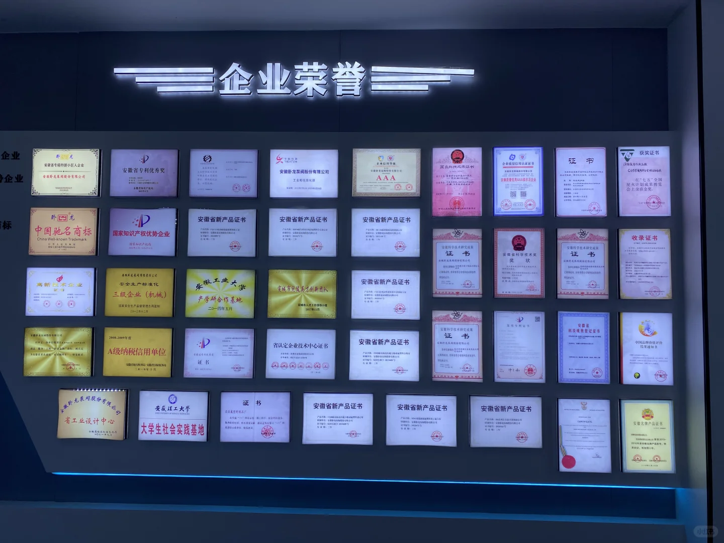 安徽卧龙泵阀行业领导者