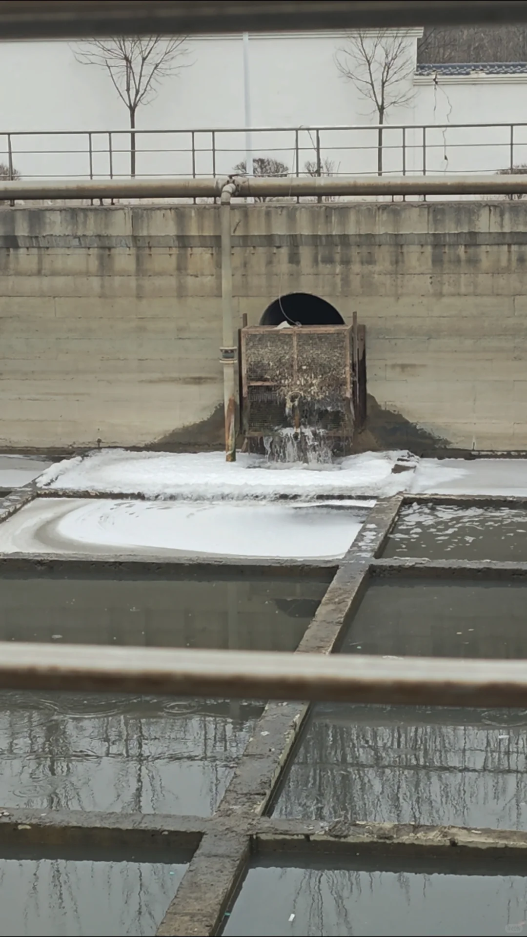 来啦上班~最近在锦州