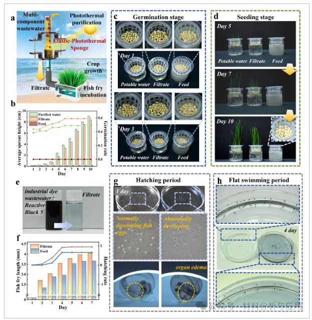 浙工大研发石墨烯海绵净化废水