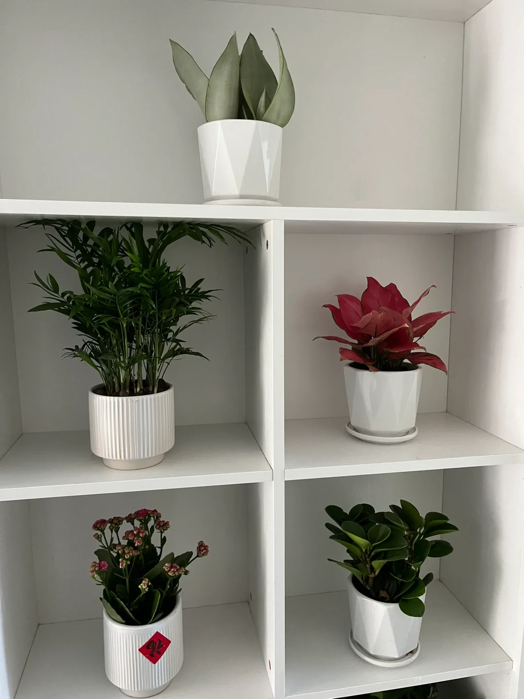 柜子空格摆放什么物品？