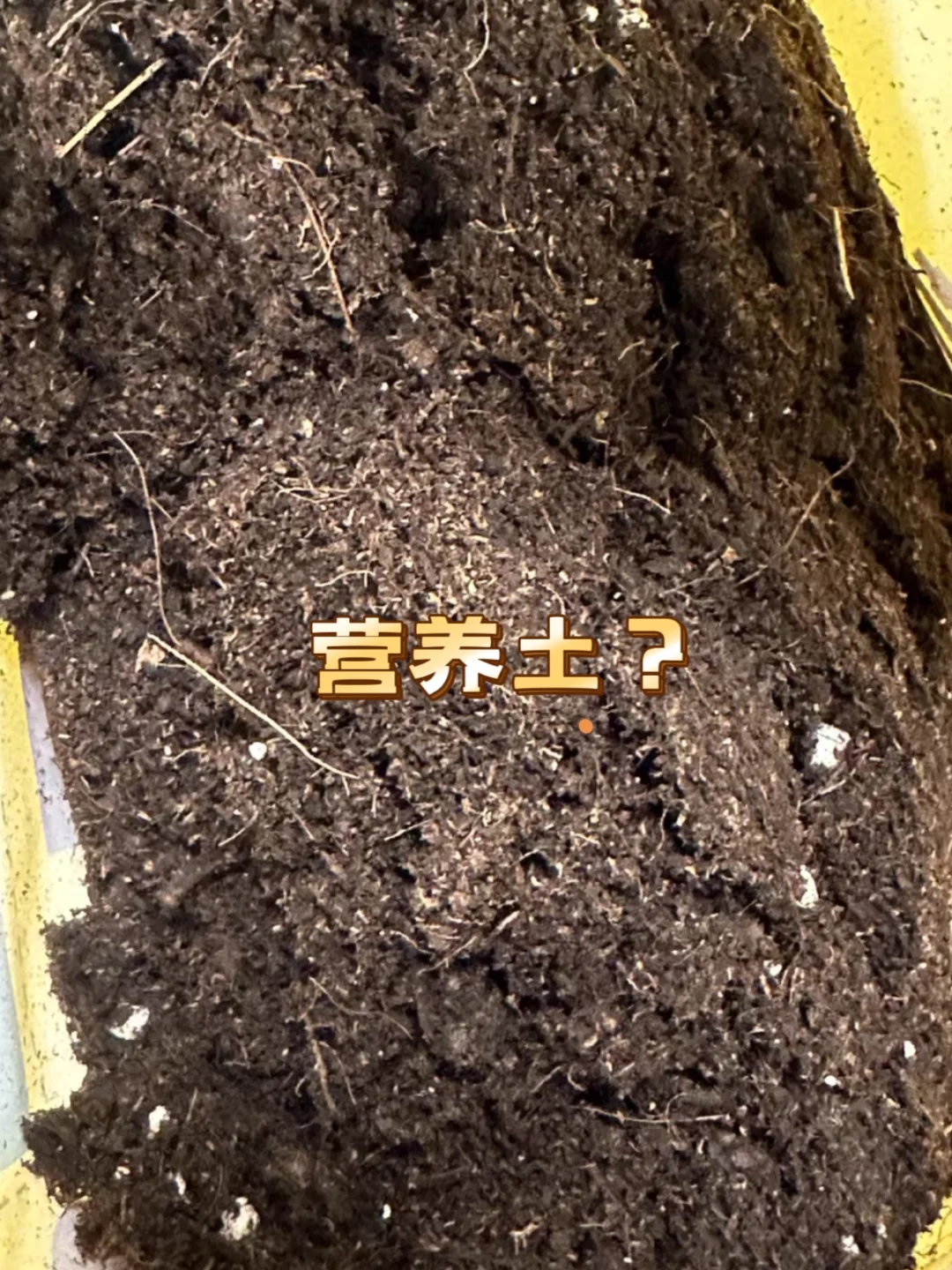 工业废土｜营养土？傻傻分不清