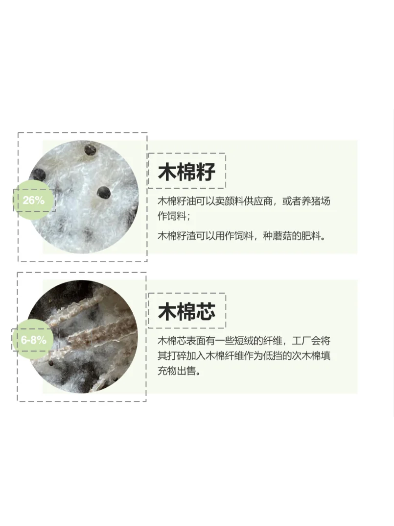 再生小课堂｜长在树上的羊绒·木棉纤维