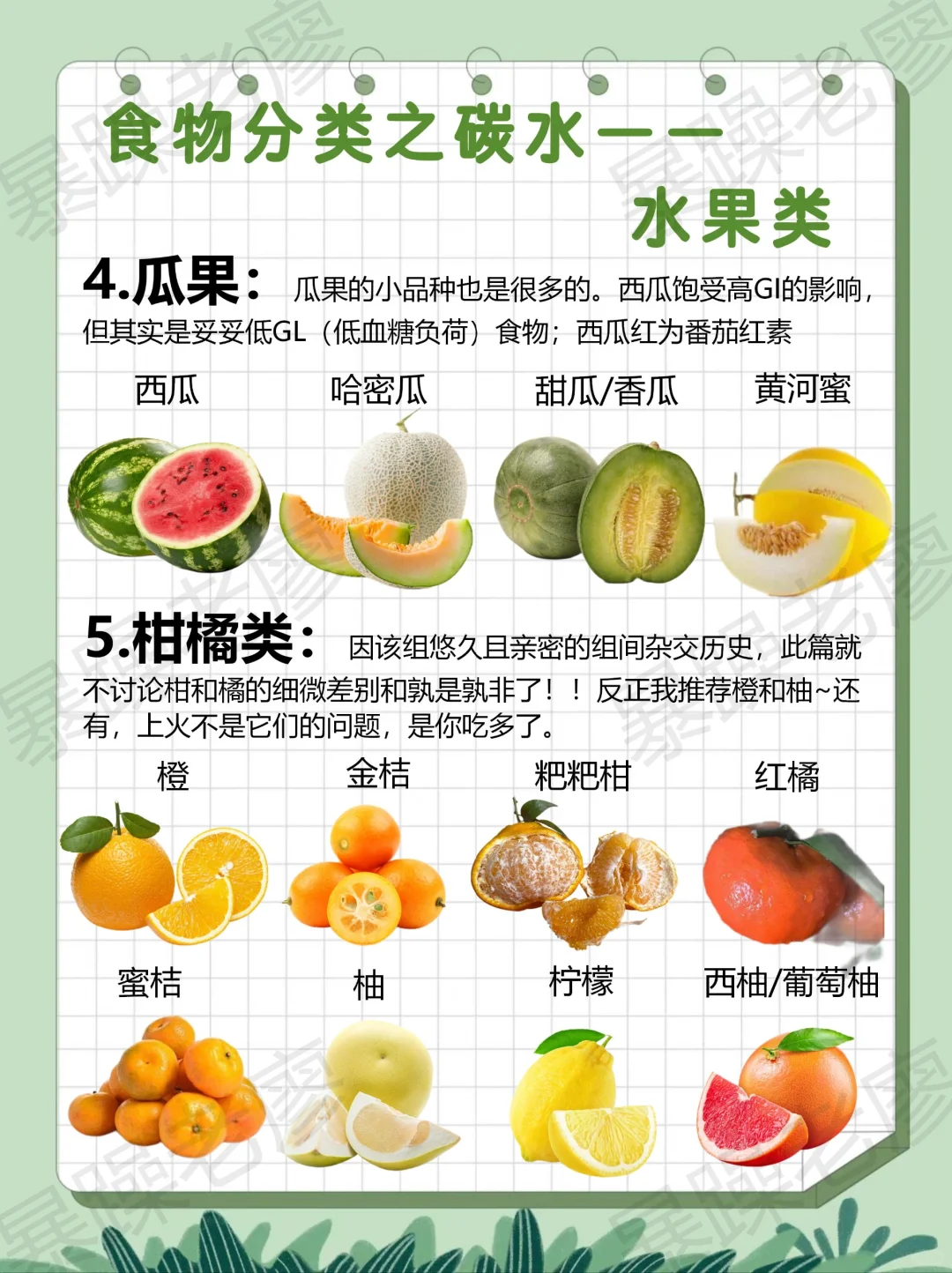 食物分类3-水果(附日常安排要点)