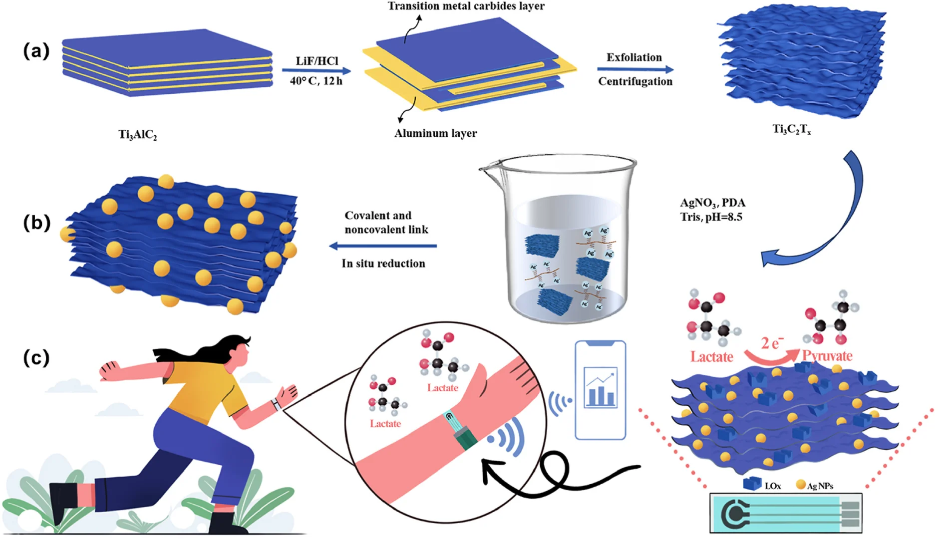 科研进展:丝网印刷电极检测汗乳酸