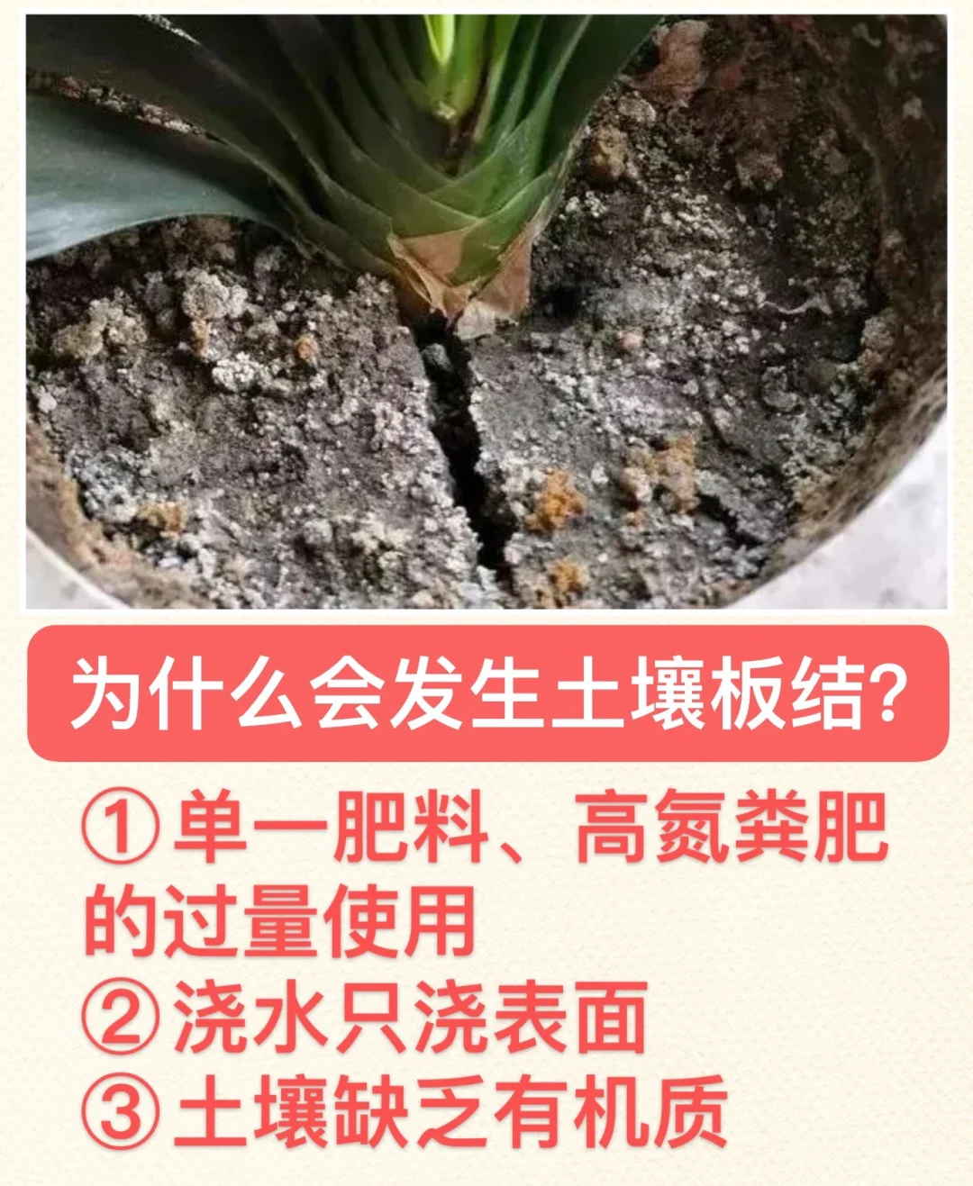 土壤板结怎么办？