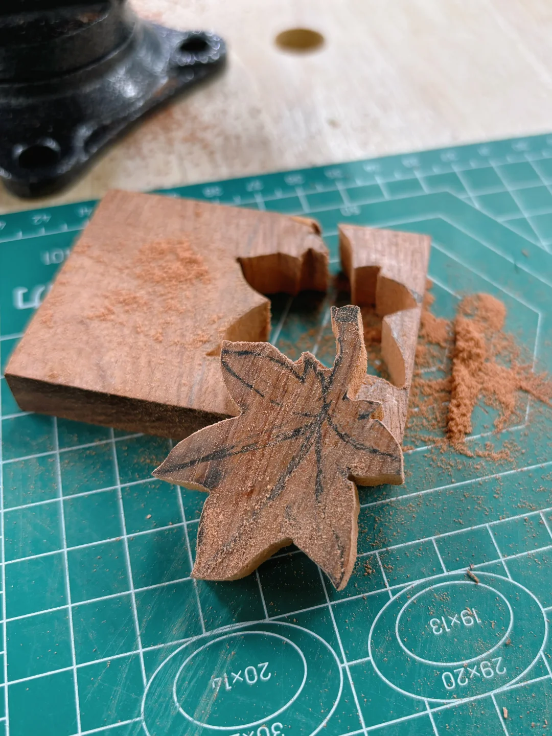 今年的枫叶好像不够红，那就赏你一丈红吧！