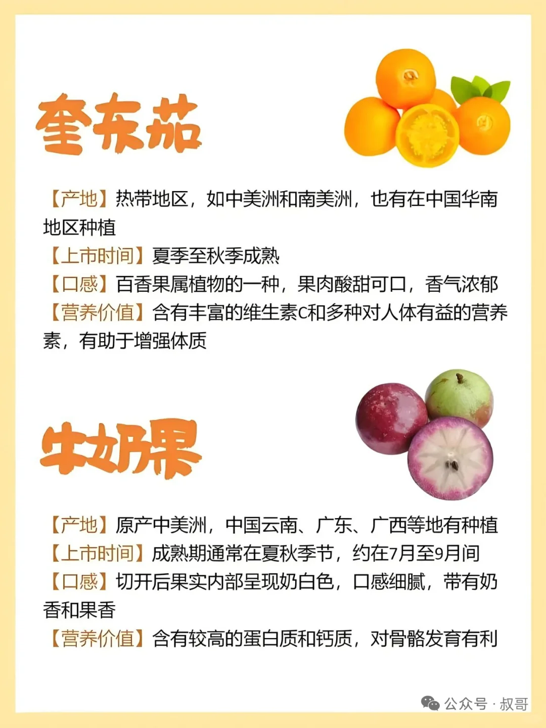 存在感不强的小众水果介绍~~