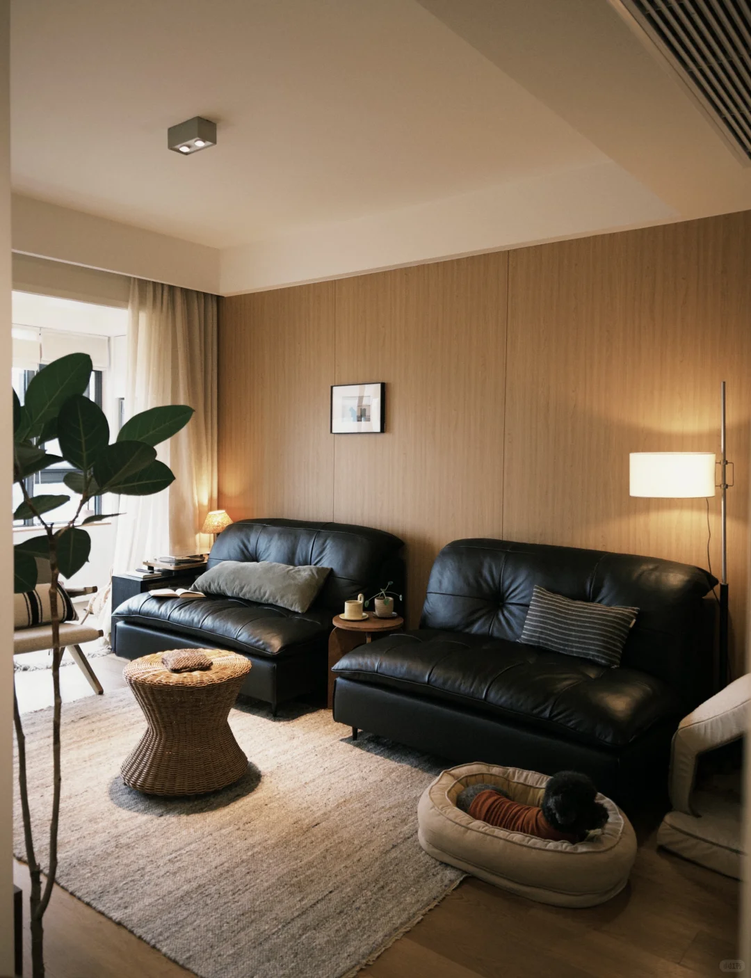 75平小家，这样布置很舒服