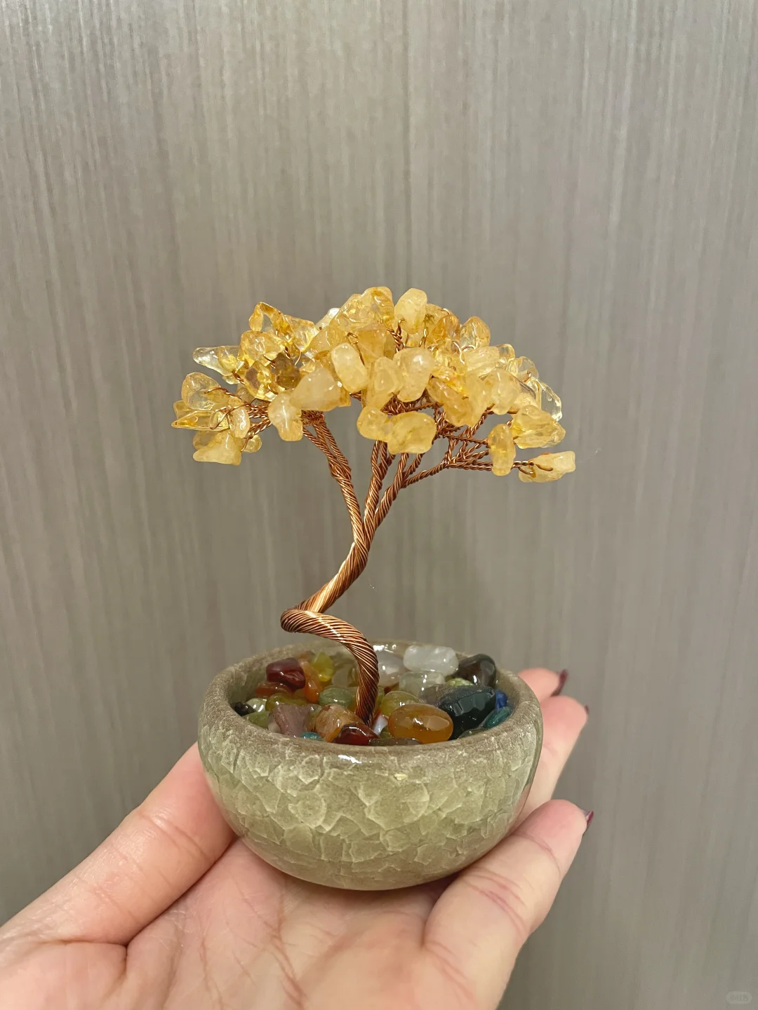 工位上的招财树✨真的好喜欢啊?