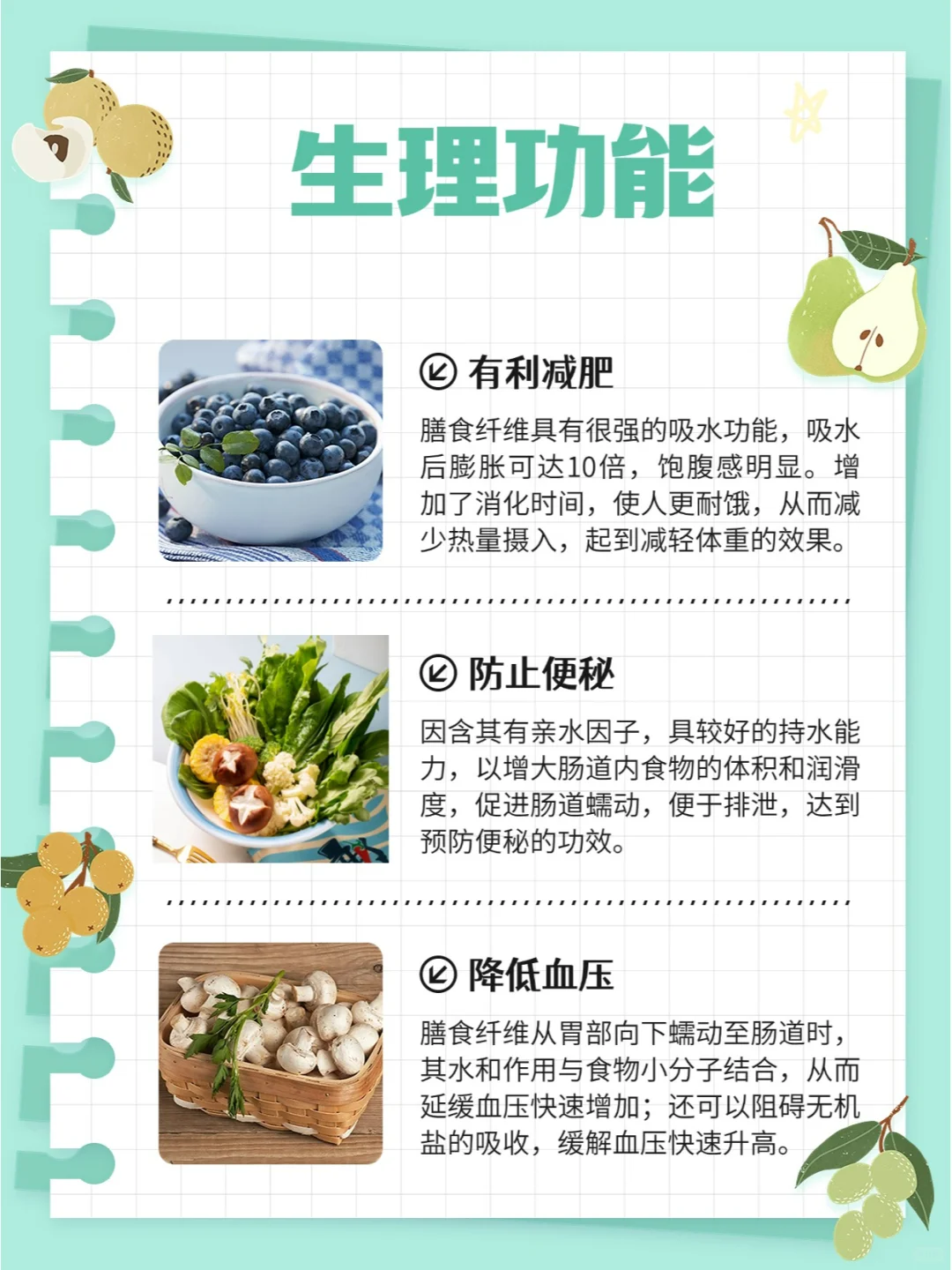 每天学点营养学-膳食纤维