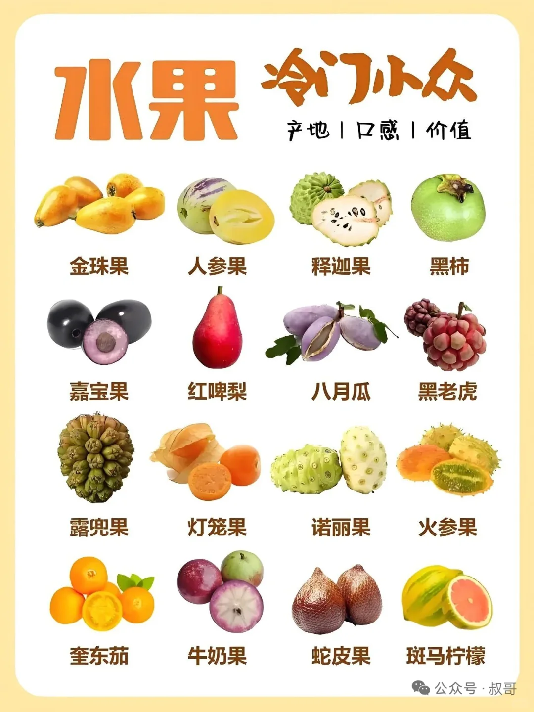 存在感不强的小众水果介绍~~