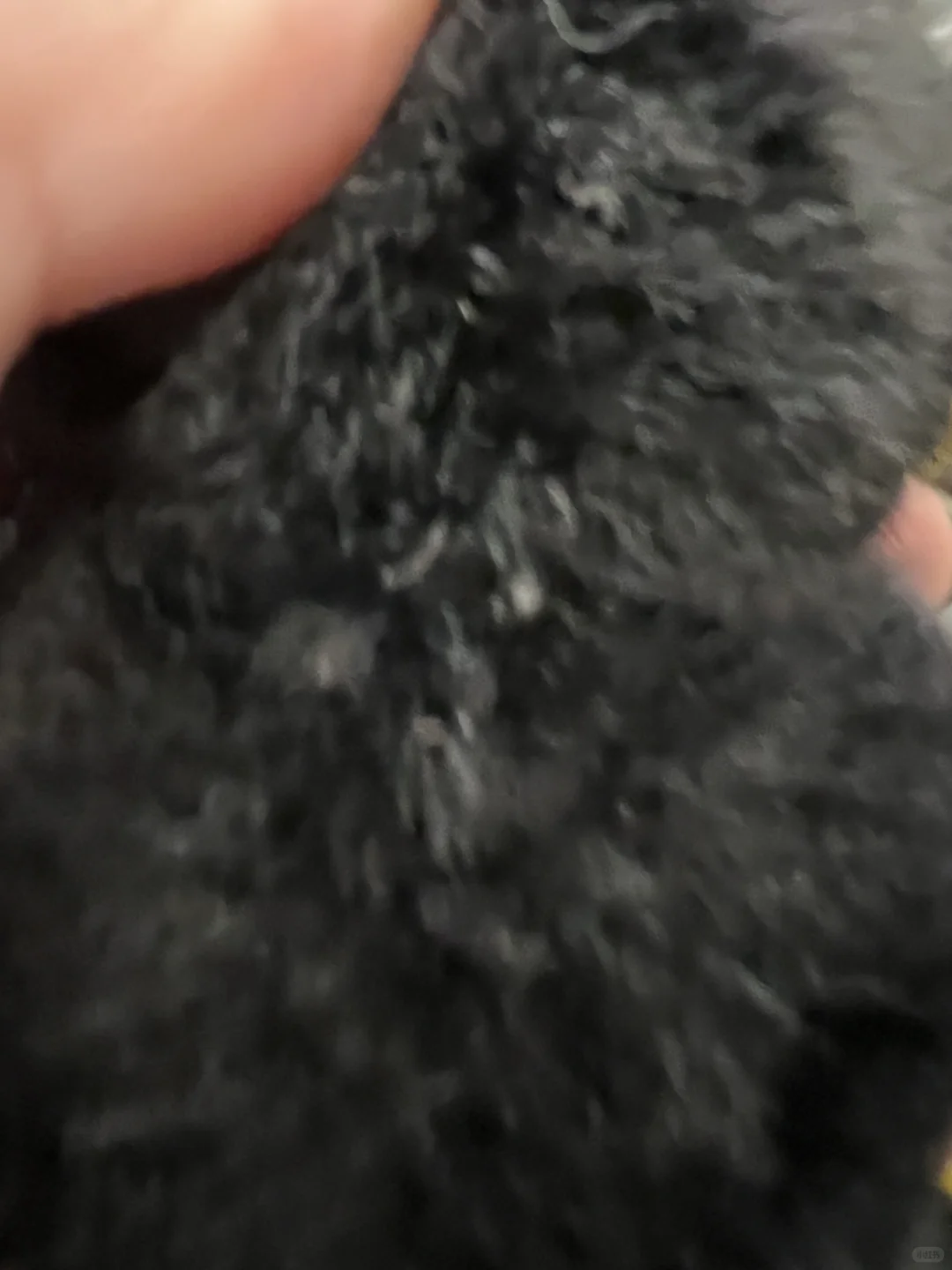 Labubu宝宝们 记得这家买假货 光光潮玩俱乐