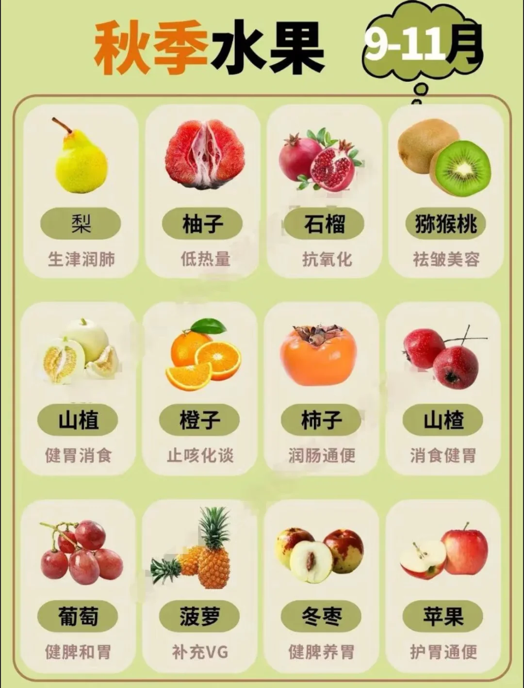 露营吃什么—水果篇?