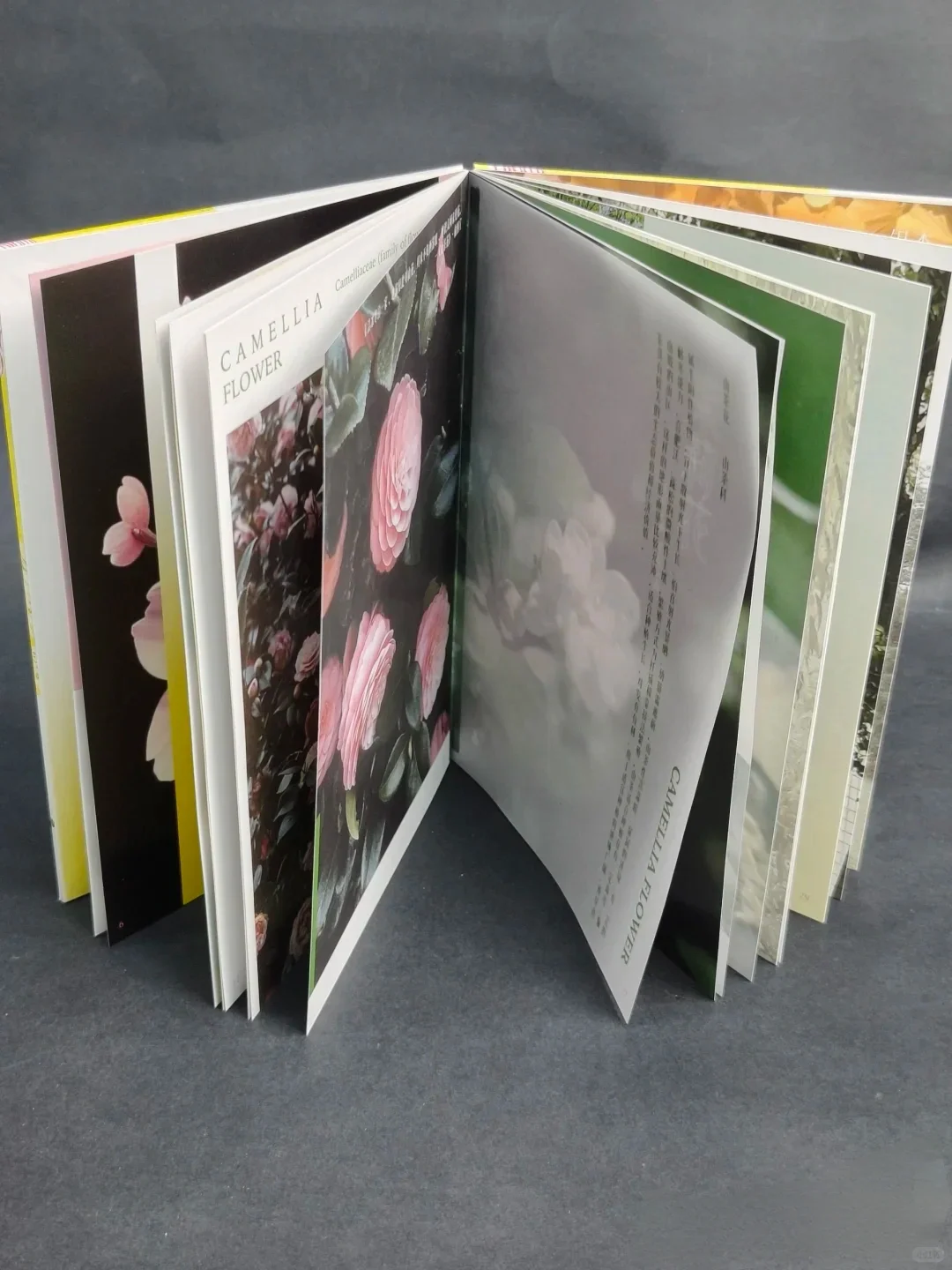 书籍装?封面压凹工艺?同人本印刷