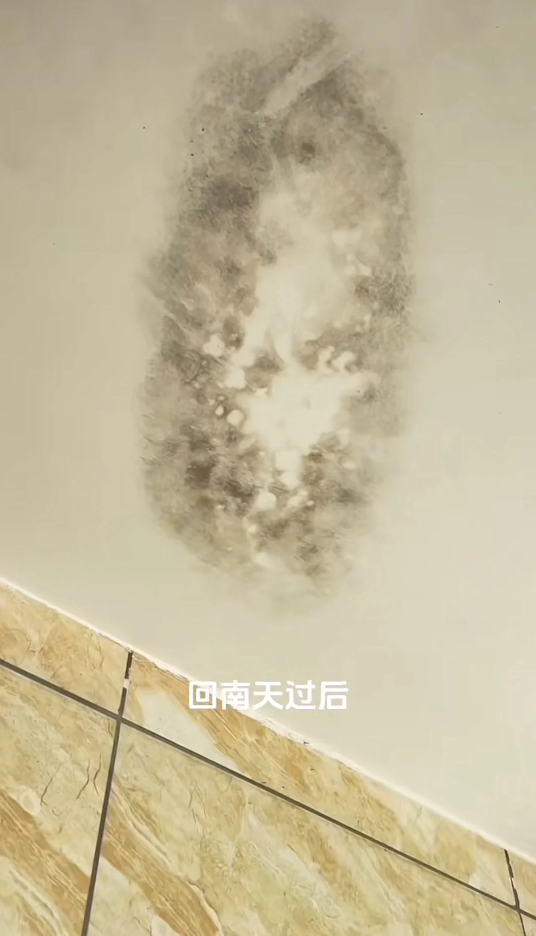 墙体发霉的危害与处置