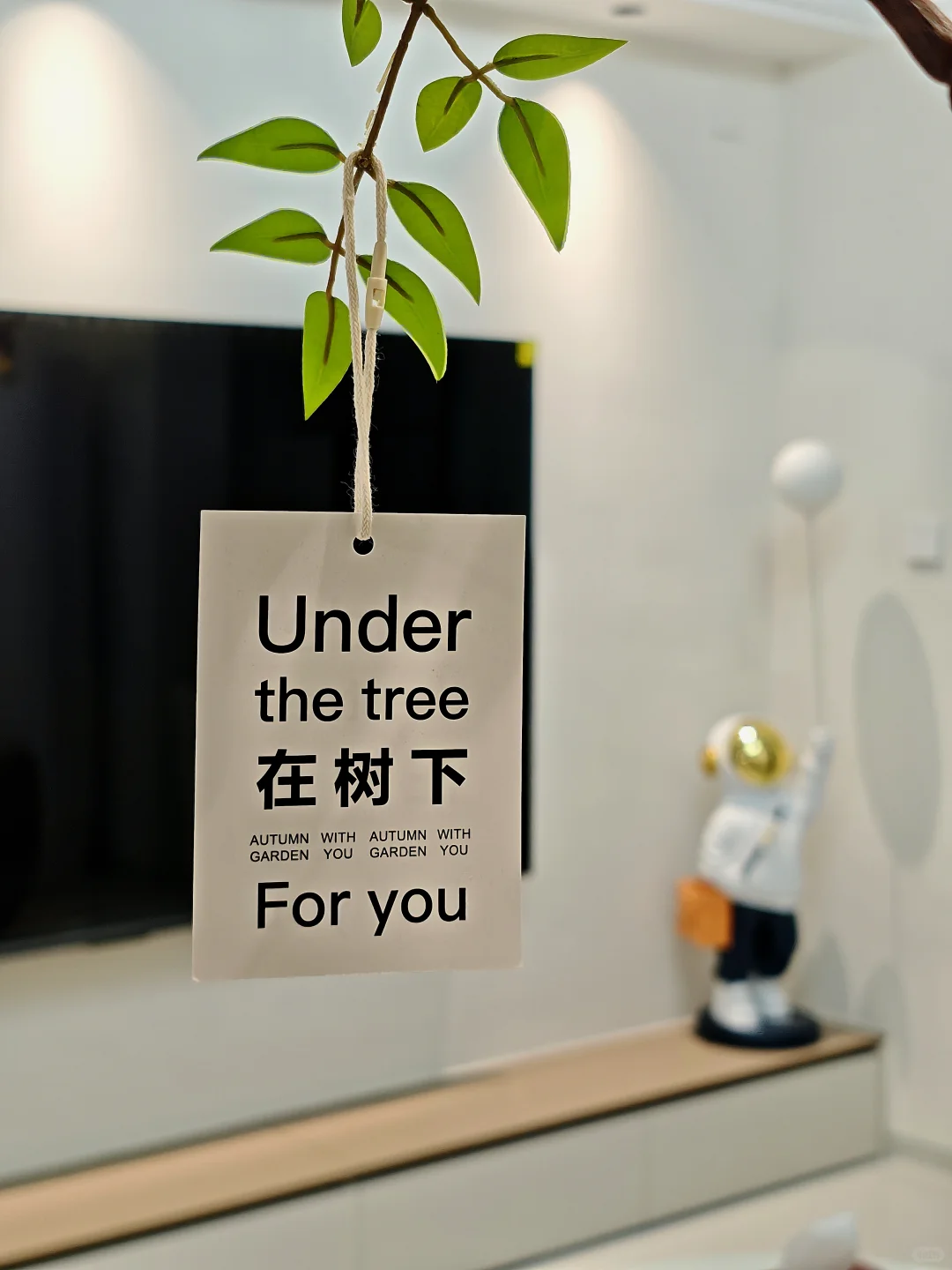 哇！好可爱的小摆件！?