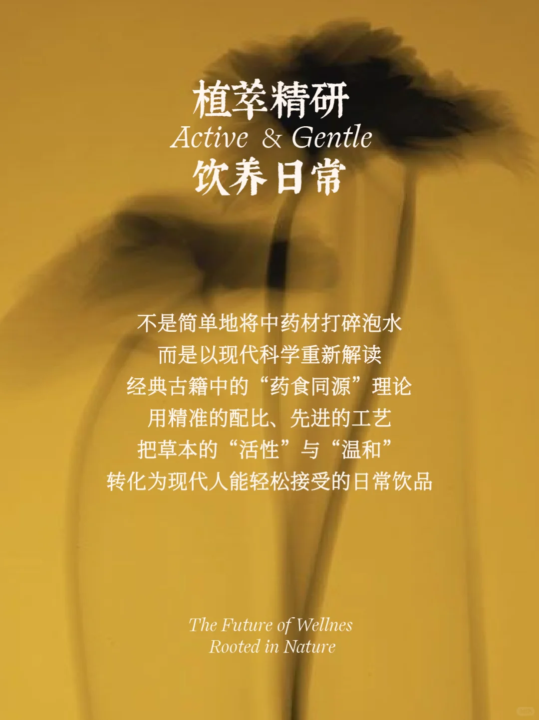 官宣｜黄好好 正式入驻小红书啦❗❗