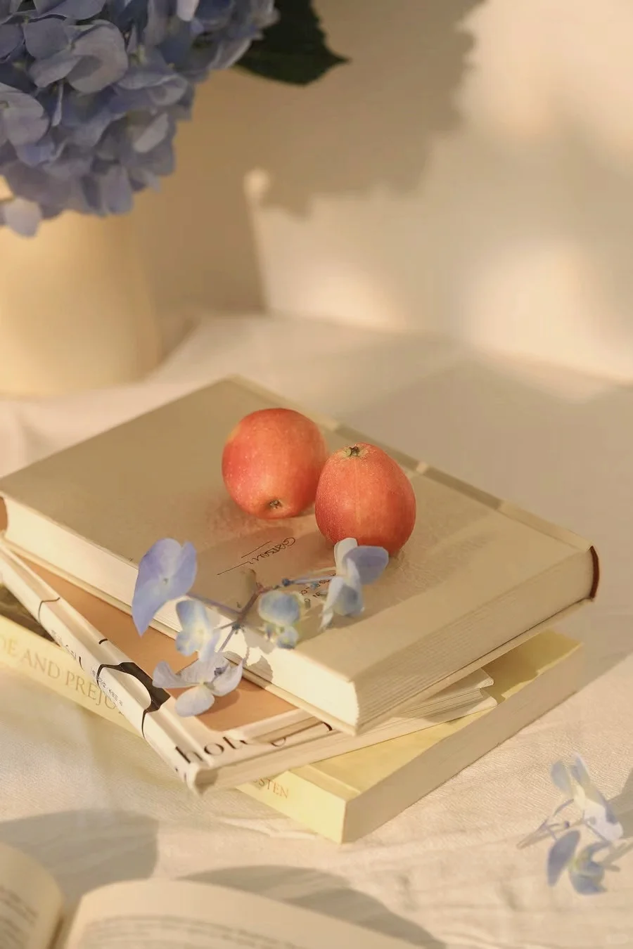 静物摄影|阳光下的静物（附布景）