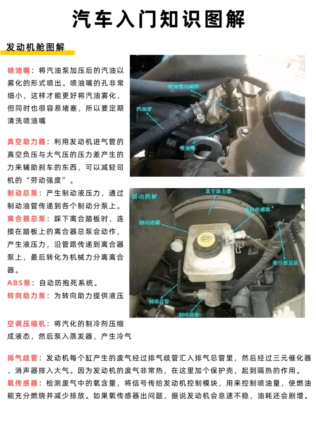 汽车入门知识-发动机舱图解