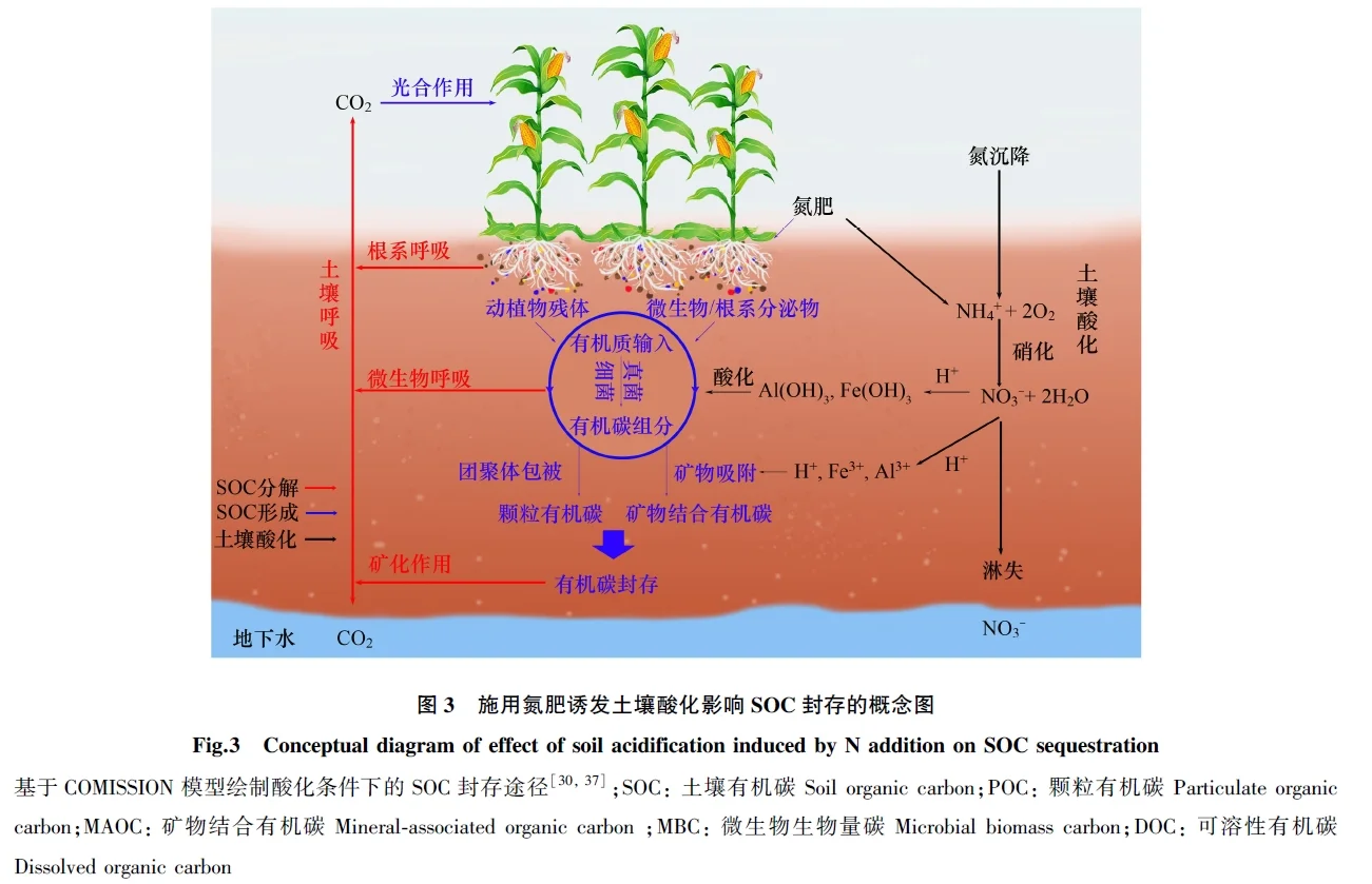综述 | 酸化土壤改良与固碳研究进展
