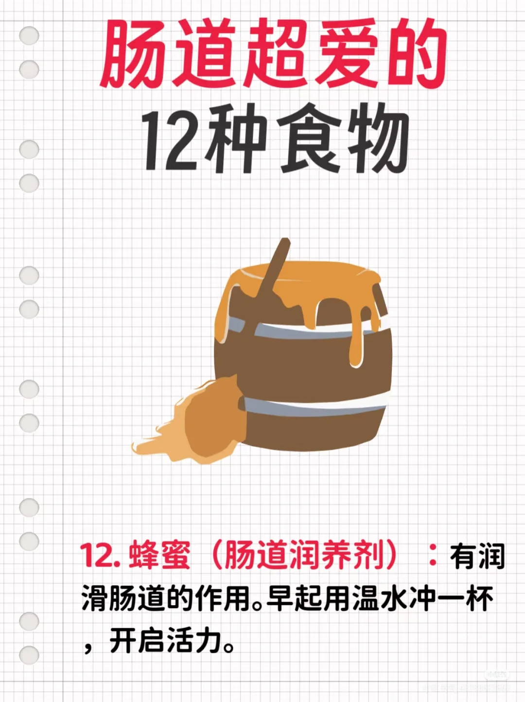 肠道超爱的食物