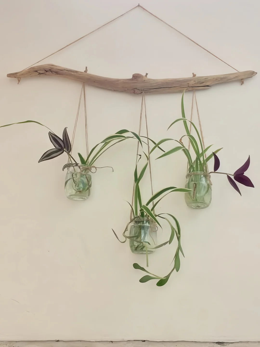 创意手工｜环创｜发现了用树枝DIY的美～