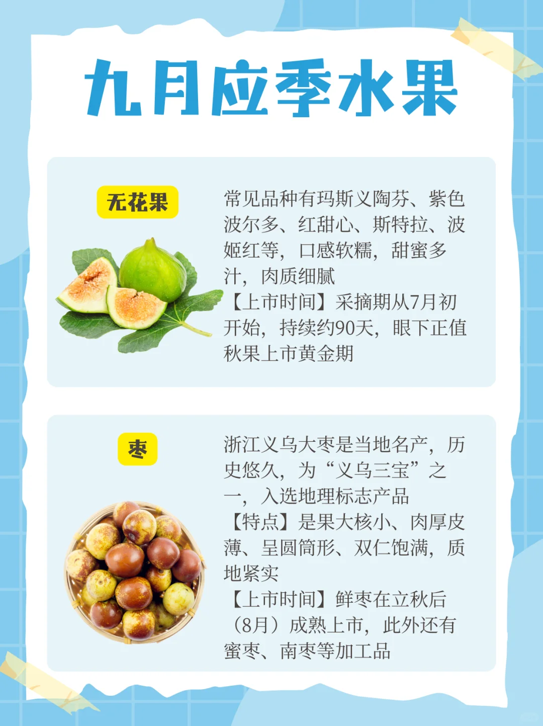 九月应季水果?来啦！